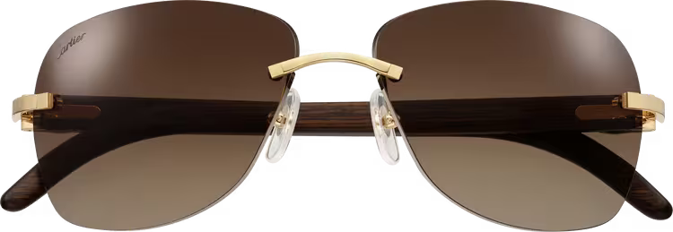 SIGNATURE C DE ca SUNGLASSES